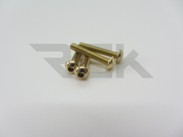 Hiro Seiko 48728 - Alu Schrauben - Linsenkopf - M3x14mm - GOLD (4 Stück)