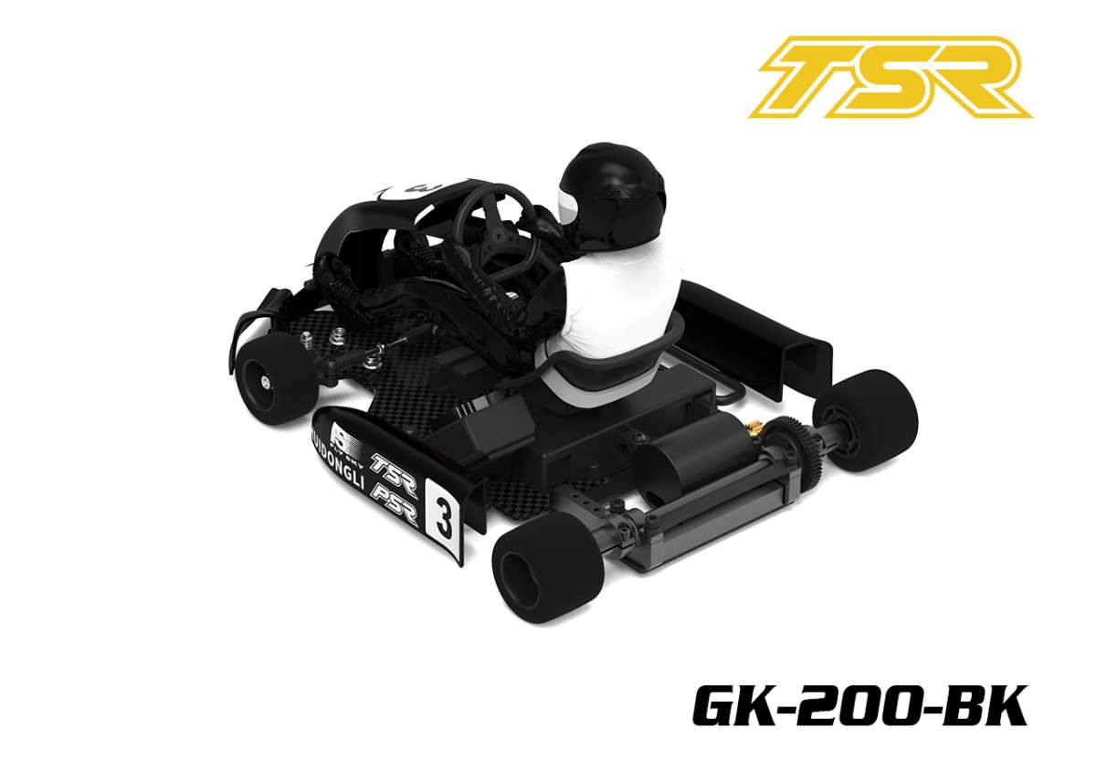 Team Saxo Racing - Go-Kart GK-200 - 1/8 Brushless Go Kart Kit
